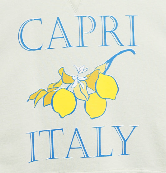 Salt Air Sweatshirt with Graphic Capri Italy