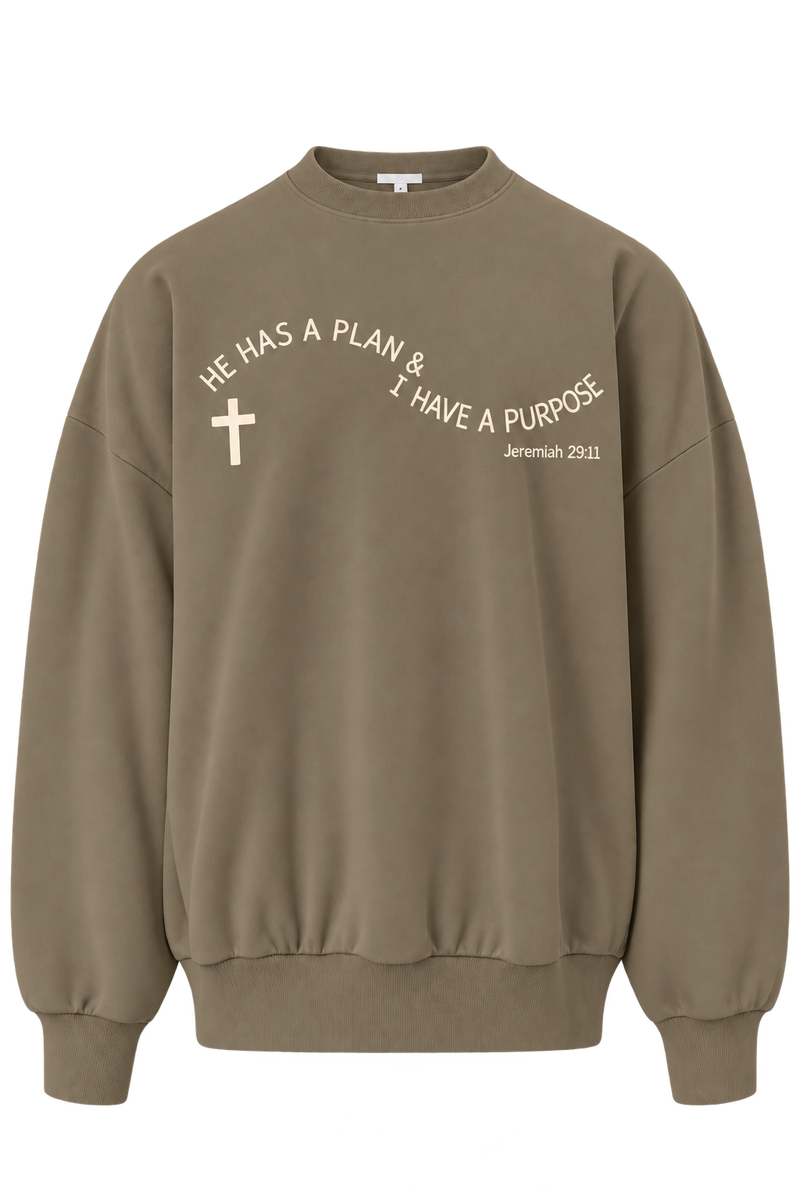 He Has a Plan, I Have a Purpose Oversized Sweatshirt
