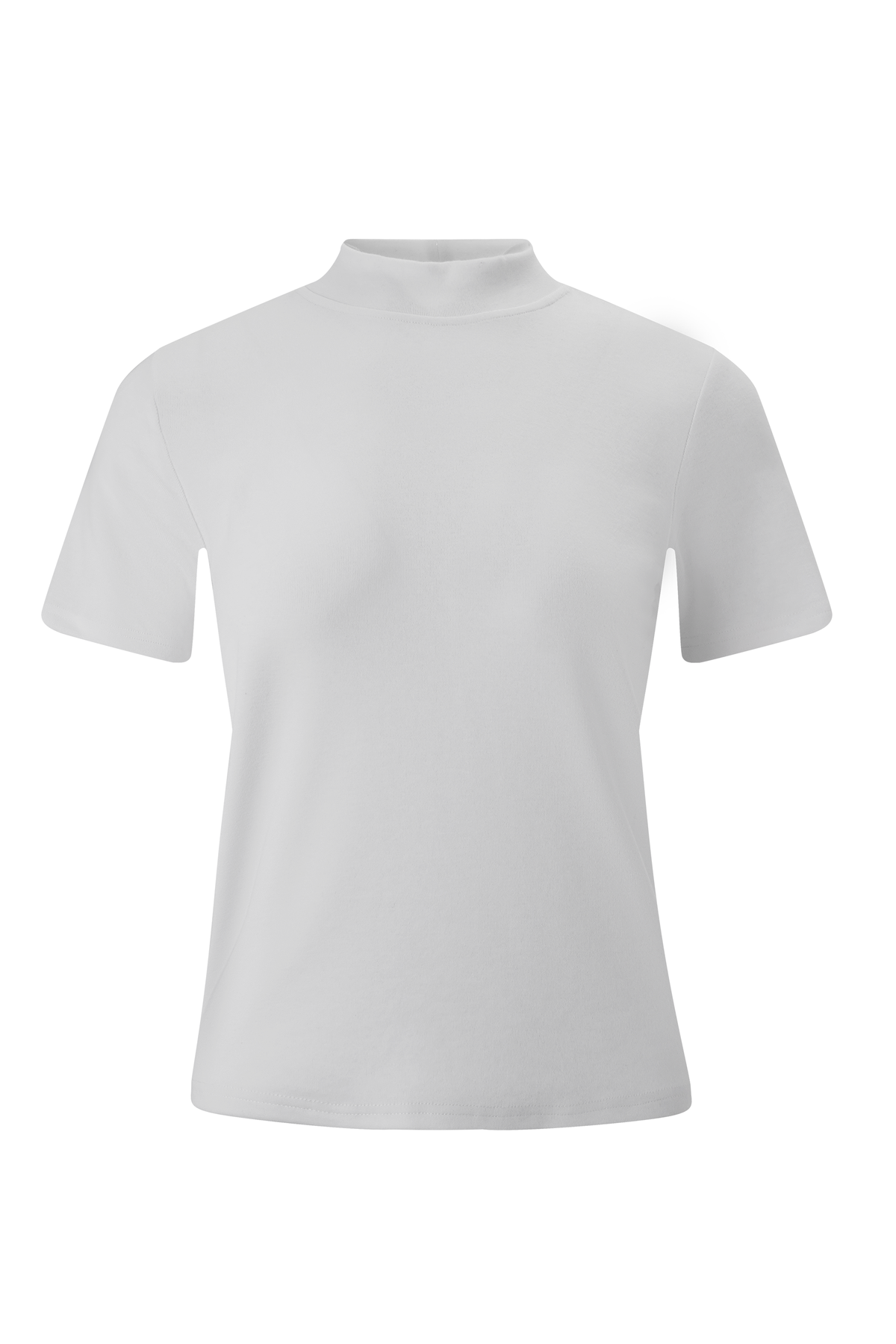 The Lush Touch Mock Neck Top