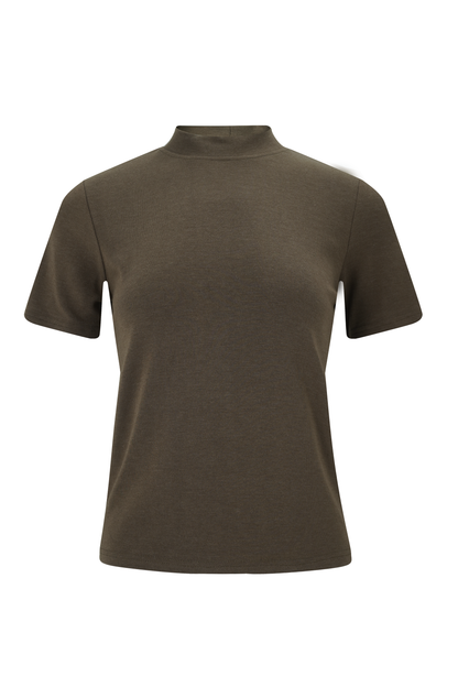 The Lush Touch Mock Neck Top