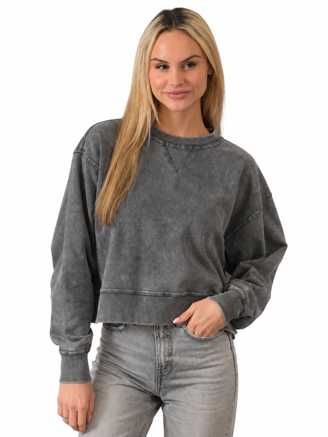 Salt Air Washed Cropped Sweatshirt